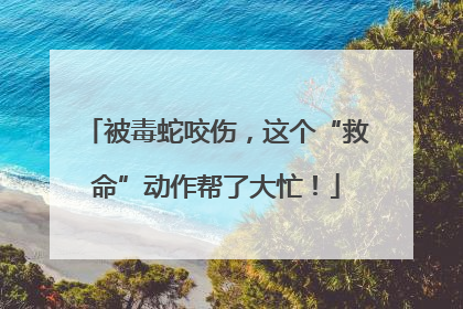 被毒蛇咬伤，这个“救命”动作帮了大忙！