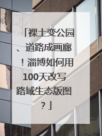 裸土变公园、道路成画廊！淄博如何用100天改写路域生态版图？