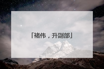 褚伟，升副部