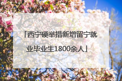 西宁硬举措新增留宁就业毕业生1800余人