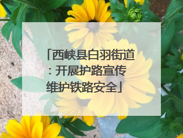 西峡县白羽街道：开展护路宣传 维护铁路安全