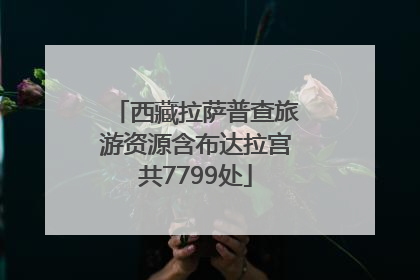 西藏拉萨普查旅游资源含布达拉宫共7799处