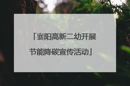 襄阳高新二幼开展节能降碳宣传活动