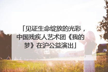 见证生命绽放的光彩，中国残疾人艺术团《我的梦》在沪公益演出