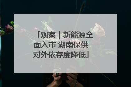 观察｜新能源全面入市 湖南保供对外依存度降低
