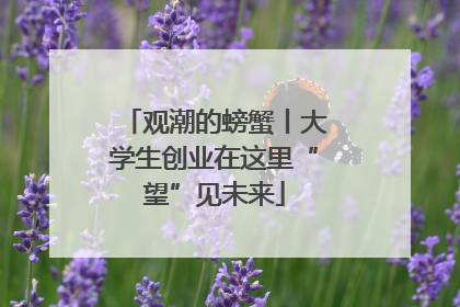 观潮的螃蟹丨大学生创业在这里“望”见未来