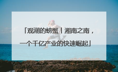 观潮的螃蟹丨湘南之南，一个千亿产业的快速崛起