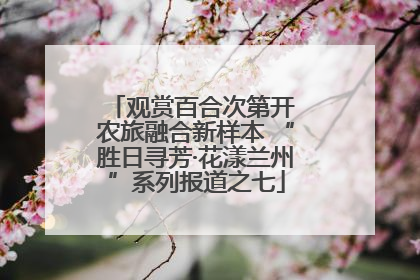 观赏百合次第开 农旅融合新样本 “胜日寻芳·花漾兰州”系列报道之七