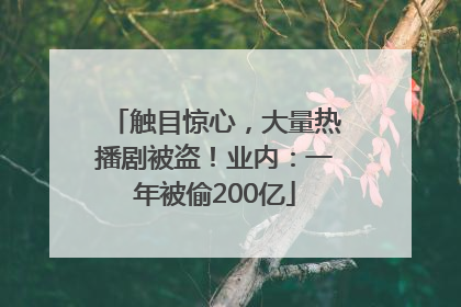 触目惊心，大量热播剧被盗！业内：一年被偷200亿