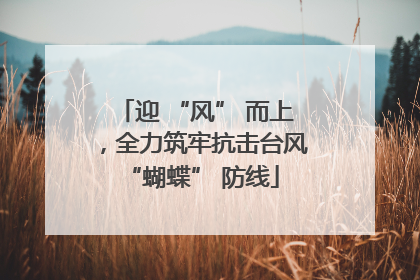 迎 “风” 而上，全力筑牢抗击台风 “蝴蝶” 防线