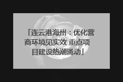连云港海州：优化营商环境见实效 重点项目建设热潮涌动
