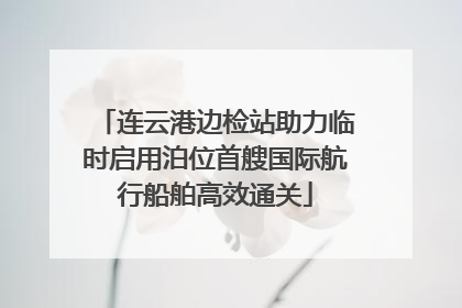 连云港边检站助力临时启用泊位首艘国际航行船舶高效通关