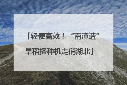 轻便高效！“南漳造”旱稻播种机走俏湖北