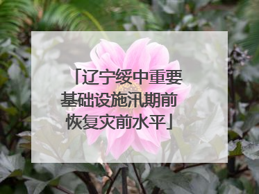辽宁绥中重要基础设施汛期前恢复灾前水平