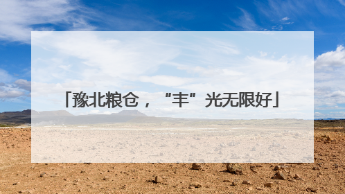豫北粮仓，“丰”光无限好