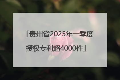 贵州省2025年一季度授权专利超4000件