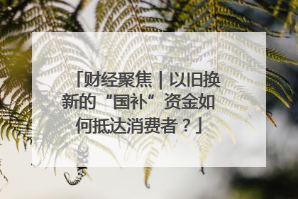 财经聚焦｜以旧换新的“国补”资金如何抵达消费者？