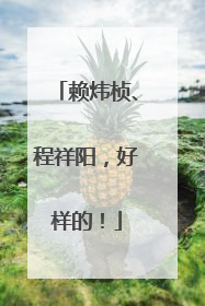 赖炜桢、程祥阳，好样的！