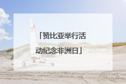 赞比亚举行活动纪念非洲日