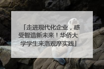 走进现代化企业，感受智造新未来！华侨大学学生来洛观摩实践