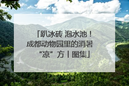 趴冰砖 泡水池！成都动物园里的消暑“凉”方丨图集