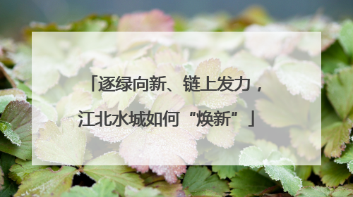 逐绿向新、链上发力，江北水城如何“焕新”