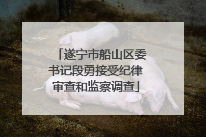 遂宁市船山区委书记段勇接受纪律审查和监察调查