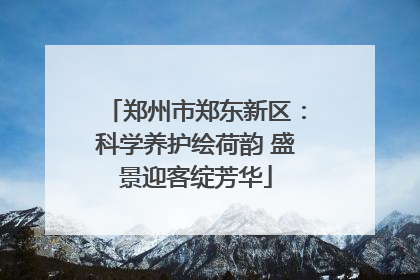 郑州市郑东新区：科学养护绘荷韵 盛景迎客绽芳华