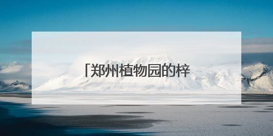 郑州植物园的梓树结“豆角”了