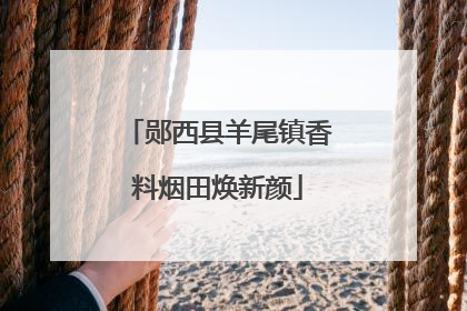 郧西县羊尾镇香料烟田焕新颜