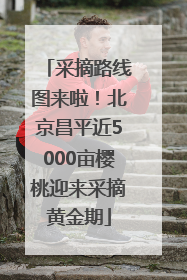 采摘路线图来啦！北京昌平近5000亩樱桃迎来采摘黄金期