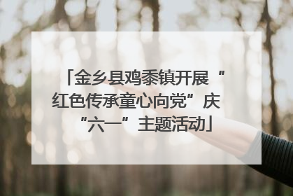 金乡县鸡黍镇开展“红色传承童心向党”庆“六一”主题活动