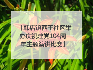 韩店镇西王社区举办庆祝建党104周年主题演讲比赛