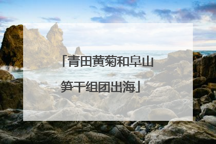 青田黄菊和阜山笋干组团出海