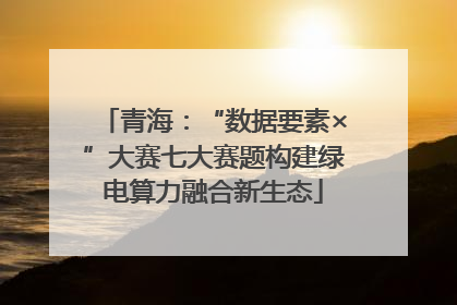 青海：“数据要素×”大赛七大赛题构建绿电算力融合新生态
