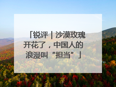 锐评｜沙漠玫瑰开花了，中国人的浪漫叫“担当”