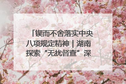 锲而不舍落实中央八项规定精神｜湖南探索“无扰督查”深化基层减负