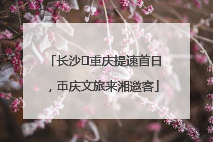 长沙⇌重庆提速首日，重庆文旅来湘邀客