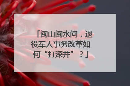 闽山闽水间，退役军人事务改革如何“打深井”？