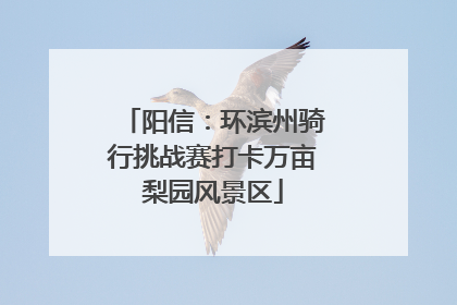 阳信：环滨州骑行挑战赛打卡万亩梨园风景区
