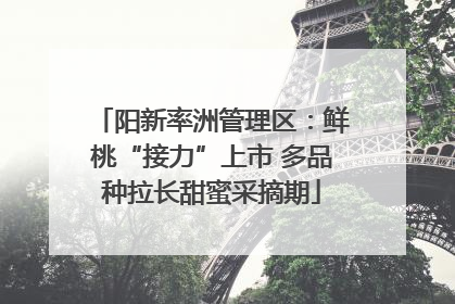 阳新率洲管理区：鲜桃“接力”上市 多品种拉长甜蜜采摘期