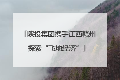 陕投集团携手江西赣州 探索“飞地经济”