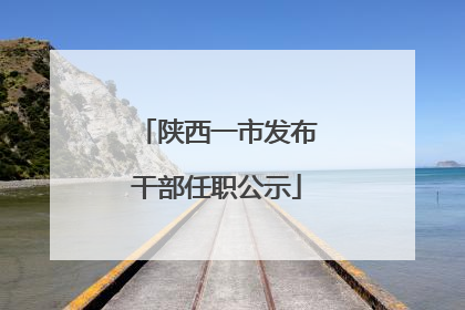 陕西一市发布干部任职公示