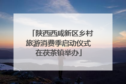 陕西西咸新区乡村旅游消费季启动仪式在茯茶镇举办