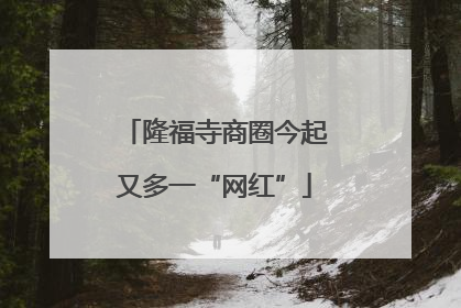 隆福寺商圈今起又多一“网红”