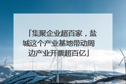 集聚企业超百家，盐城这个产业基地带动周边产业开票超百亿