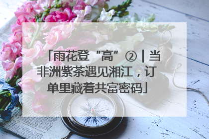 雨花登“高”②｜当非洲紫茶遇见湘江，订单里藏着共富密码