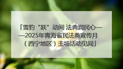 雪豹“跃”动间 法典润民心——2025年青海省民法典宣传月（西宁地区）主场活动见闻