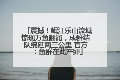 震撼！岷江乐山流域惊现万鱼翻涌，成群结队绵延两三公里 官方：鱼群在此产卵