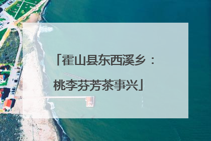 霍山县东西溪乡：桃李芬芳茶事兴